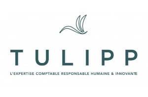 tulipp